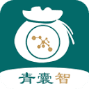 青囊智